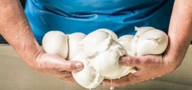 Paestum Temples & Mozzarella Experience | for Cruisers Too - Itinerary