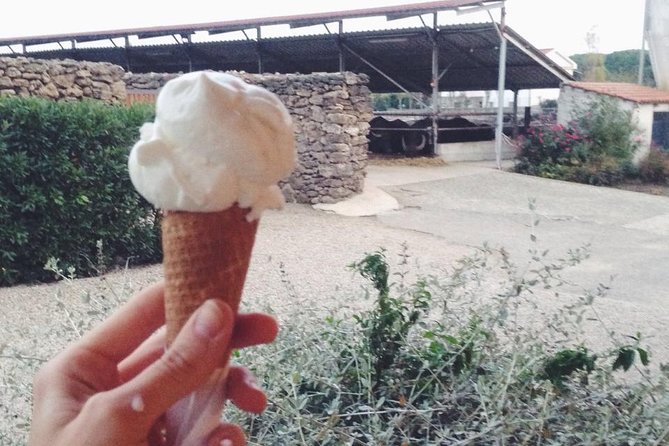 Paestum Traditions, Buffaloes, Ceramics, Temples - History of Paestum