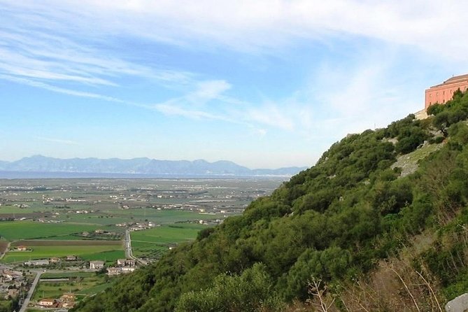 Paestums Wines, Discover the Secrets! - Provider and Inclusions