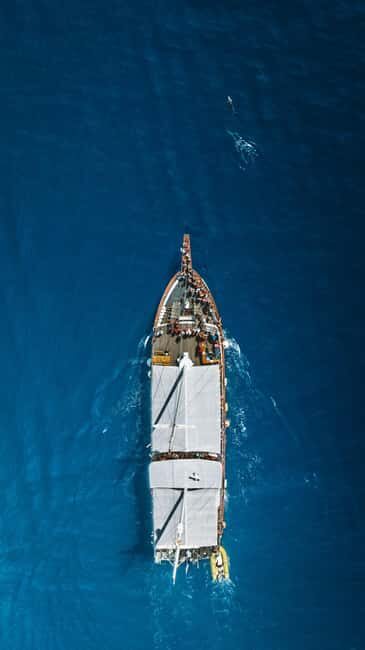 Pag Island: Excursion Bay cruise - Festini - Who Will Enjoy This Tour?