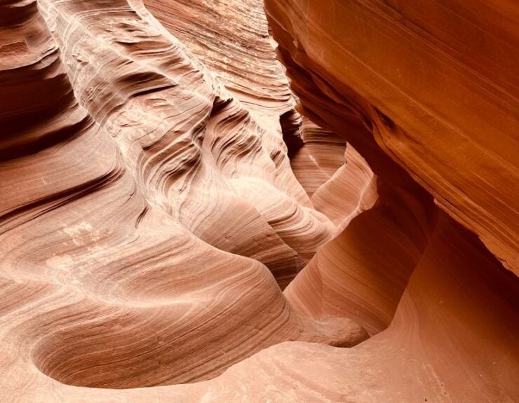 Page: Mountain Sheep Slot Canyon Guided Hiking Tour - Booking and Cancellation Policies