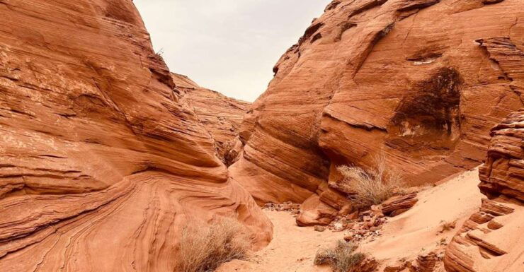 Page: Mountain Sheep Slot Canyon Guided Hiking Tour - Unique Hiking Experience