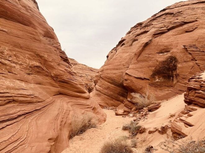 Page: Mountain Sheep Slot Canyon Guided Hiking Tour - Exploring the Canyons Natural Beauty