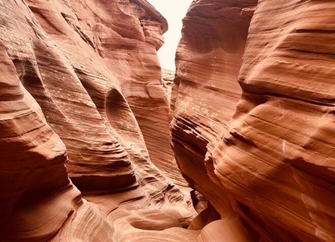 Page: Mountain Sheep Slot Canyon Guided Hiking Tour - Common Questions