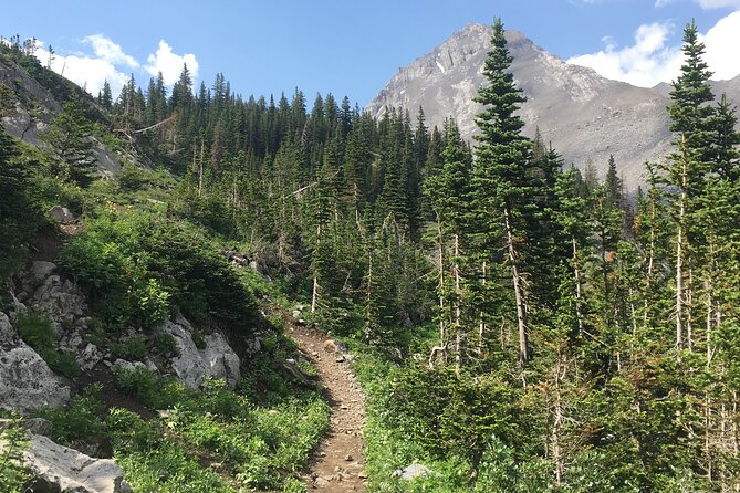 Paget Lookout and Sherbrooke Lake - Traveler Requirements and Group Size