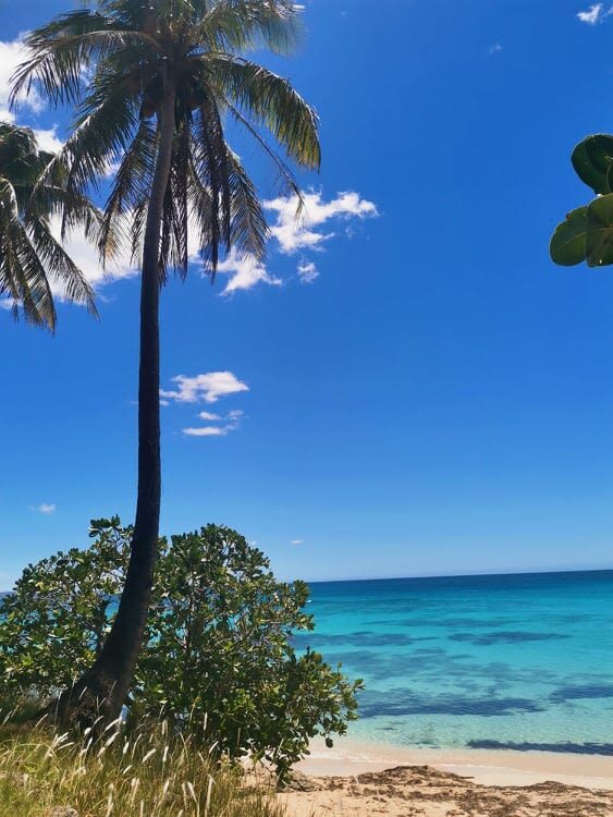 Pagudpud & Saud Beach Full-Day Private Tour - Who should book this tour?