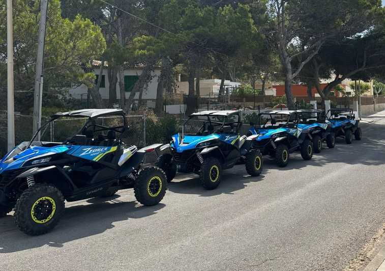 Paguera: 2 Hour Buggy Tour - Good To Know