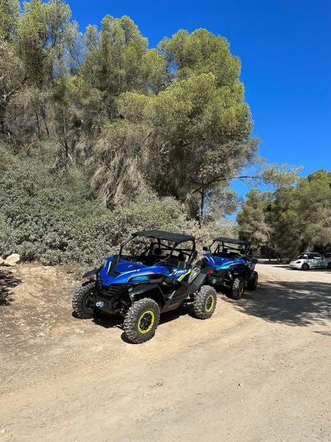 Paguera: 2 Hour Buggy Tour - Itinerary Highlights