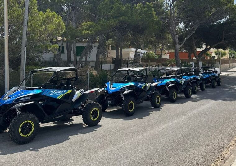 Paguera: 2 Hour Buggy Tour - Tour Features