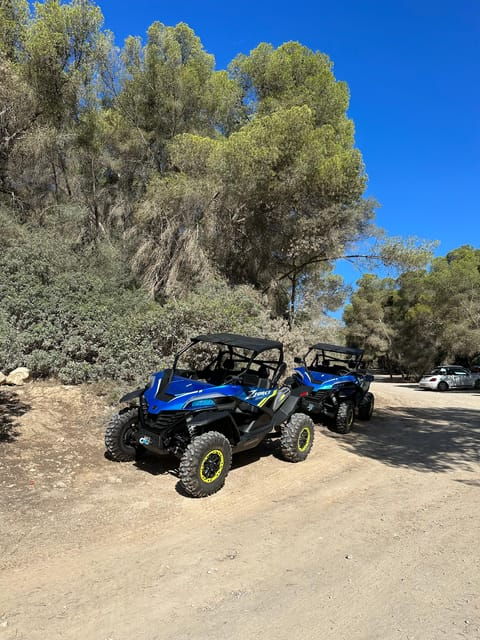 Paguera: 2 Hour Buggy Tour - Inclusions and Requirements