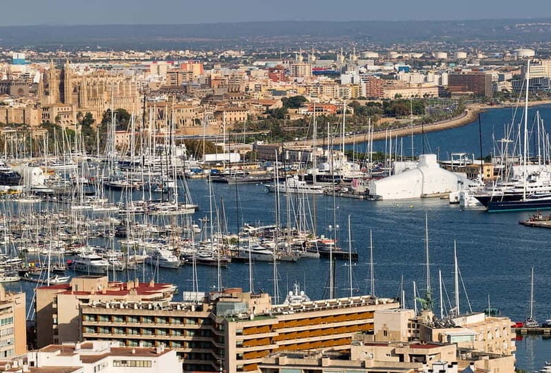 Paguera or Santa Ponsa: Speedboat Cruise to Palma - Why You Should Consider This Tour