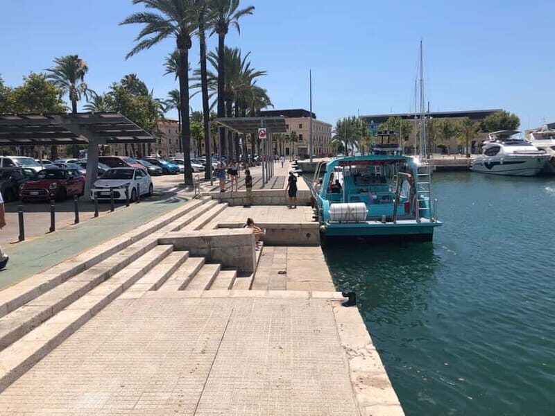 Paguera or Santa Ponsa: Speedboat Cruise to Palma - The Sum Up
