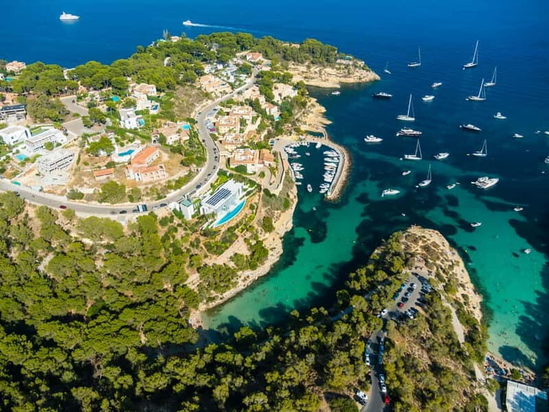 Paguera or Santa Ponsa: Speedboat Cruise to Palma - FAQs