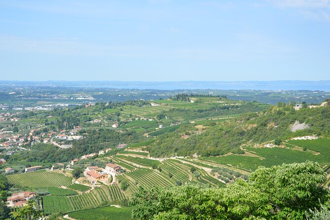 Pagus Wine Tours - a Taste of Valpolicella - Half Day Wine Tour - Traveler Reviews and Featured Review