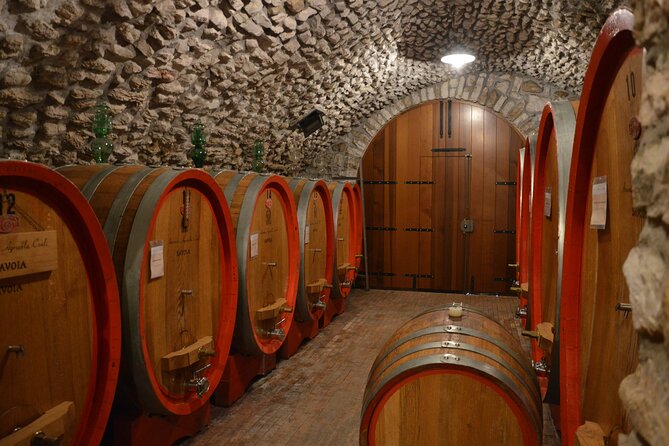 Pagus Wine Tours - a Taste of Valpolicella - Half Day Wine Tour - Winery Experiences and Positive Reviews