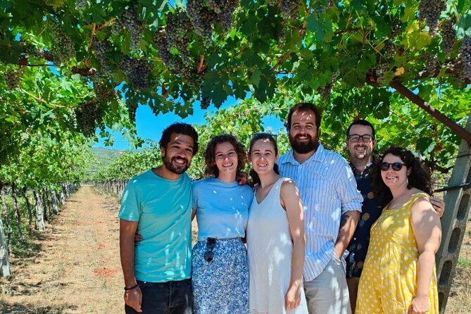 Pagus Wine Tours - a Taste of Valpolicella - Half Day Wine Tour - Common Questions