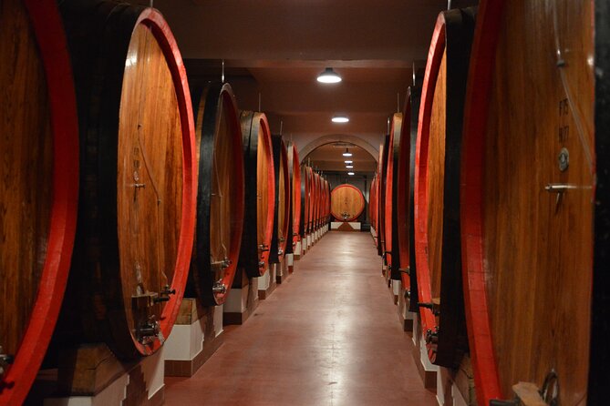 Pagus Wine Tours - Soave and Amarone - Half Day Wine Tour - Pricing and Terms