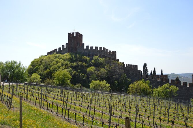 Pagus Wine Tours - Soave and Amarone - Half Day Wine Tour - Common Questions