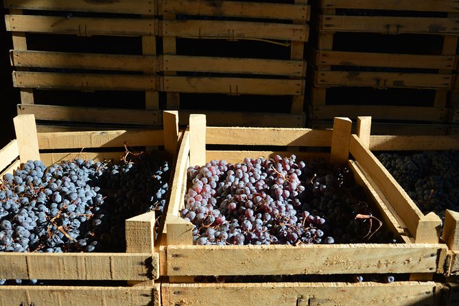 Pagus Wine Tours - Two Amarone Wineries - Half Day Wine Tour - Tour Highlights