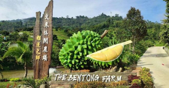 Pahang: Bentong Farm Full Day Admission Ticket - Full Description