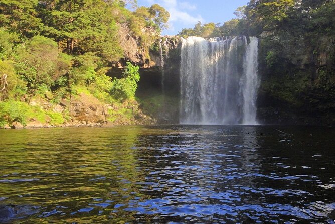 Pahia Shore Excursion: Private Half-Day Bay of Islands Tour - Questions and Assistance