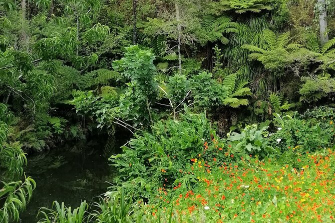 Pahia Shore Excursion: Private Half-Day Bay of Islands Tour - Pricing and Value