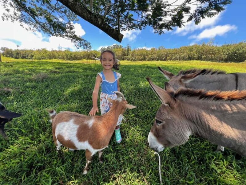 Pahoa: Ranch Tour with Animal Feedings and Interactions - Good To Know