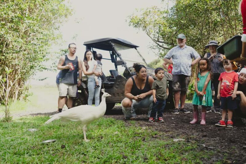 Pahoa: Ranch Tour with Animal Feedings and Interactions - The Sum Up
