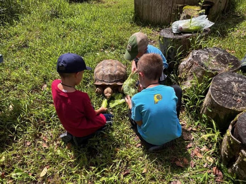 Pahoa: Ranch Tour with Animal Feedings and Interactions - FAQ