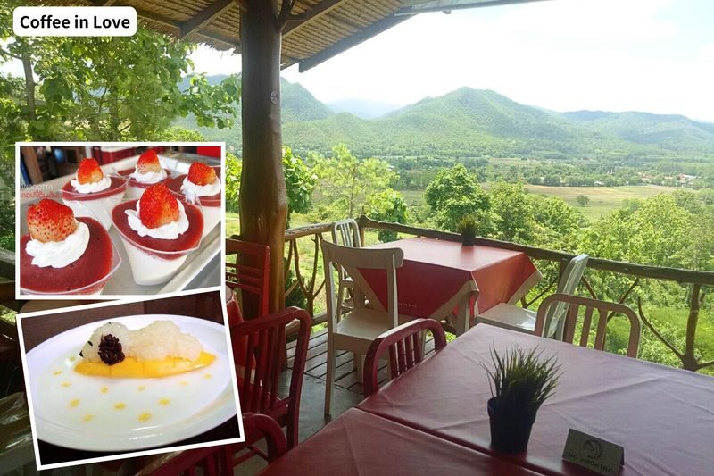 Pai Highlights Private Day Tour From Chiang Mai - Coffee in Love, strawberries and the Tree House