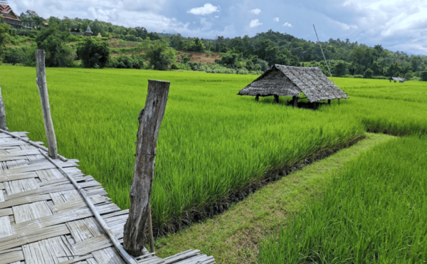 Pai: Mae Hong Son Highlights - Full Day Private Car Tour - Must-See Locations in Detail