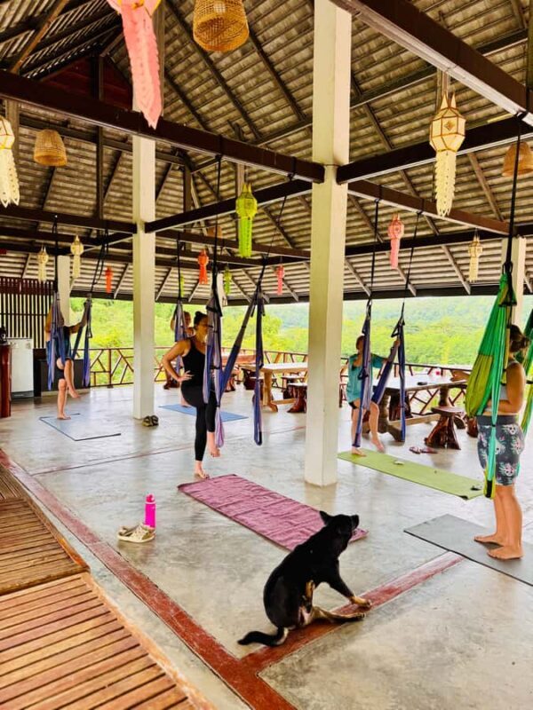 Pai: Sunset Trapeze Yoga Class with Smoothie - Practical Details and Considerations