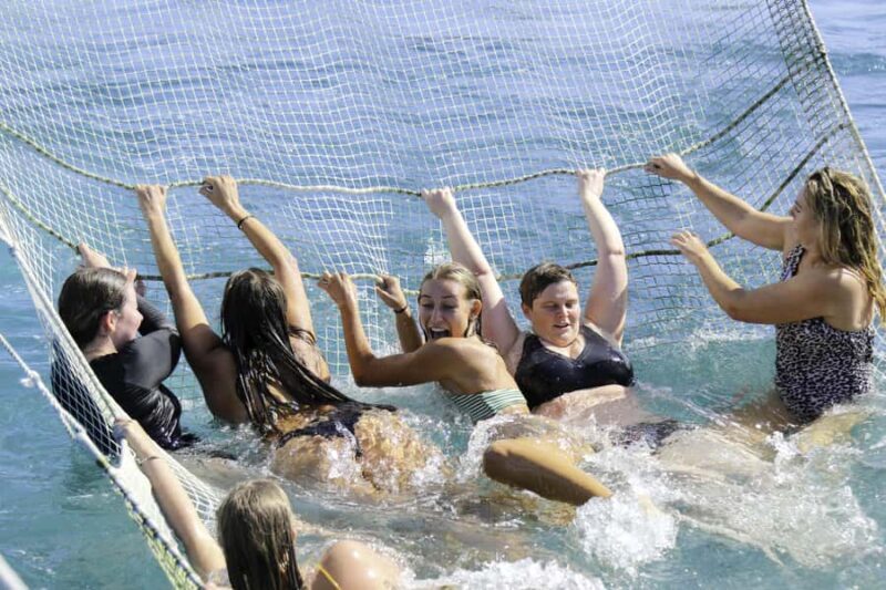 Paihia: Bay of Islands Dolphin Eco Cruise & Island Stopover - The Route and What to Expect