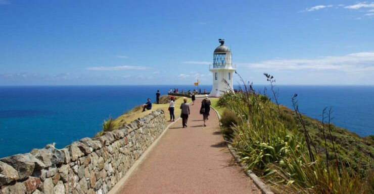 Paihia: Cape Reinga and Ninety Mile Beach Trip With Lunch - Activity Details
