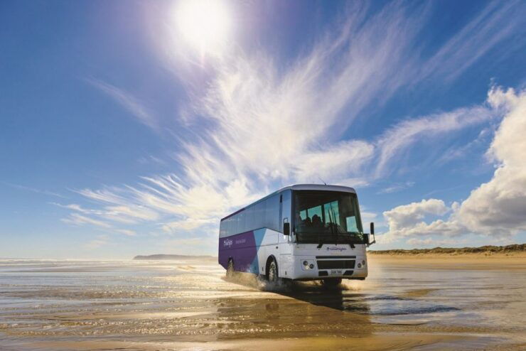 Paihia: Cape Reinga and Ninety Mile Beach Trip With Lunch - Experience Highlights