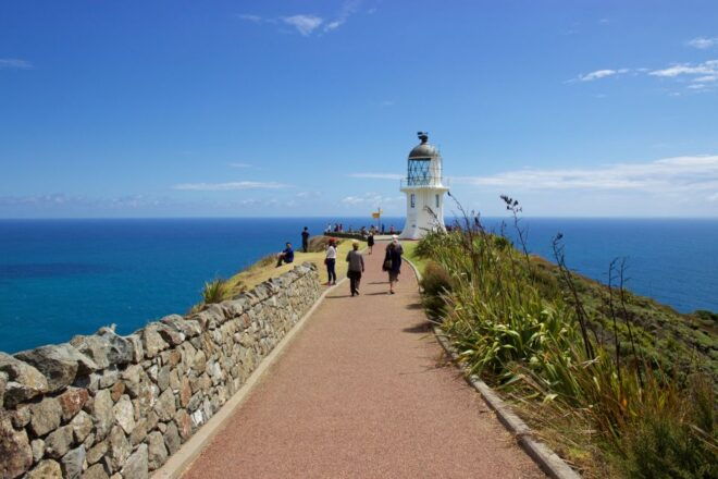 Paihia: Cape Reinga and Ninety Mile Beach Trip With Lunch - Full Description