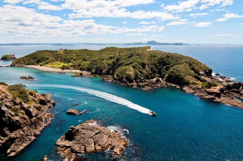 Paihia: Hole in the Rock Fast Boat Ocean Adventure - The Itinerary and Features: What to Expect