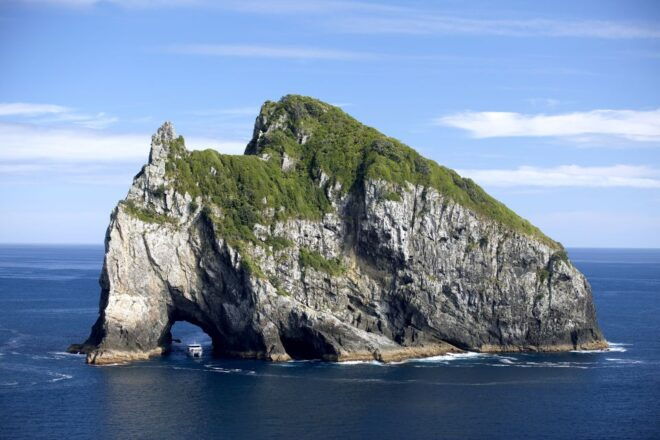 Paihia/Russell: Hole in the Rock and Bay of Islands Cruise - Other Recommended Options