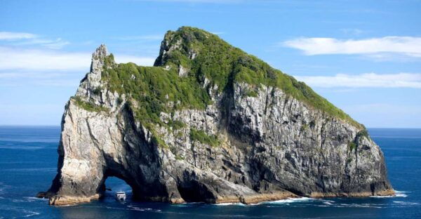 Paihia/Russell: Hole in the Rock and Bay of Islands Cruise - Common Questions