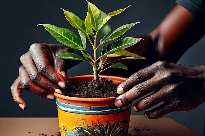 Paint and Plant: The Ultimate Plant Therapy Experience - Good To Know