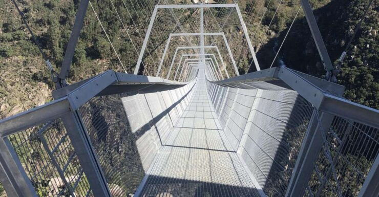 Paiva Walkways and Suspension Bridge - Activity Details