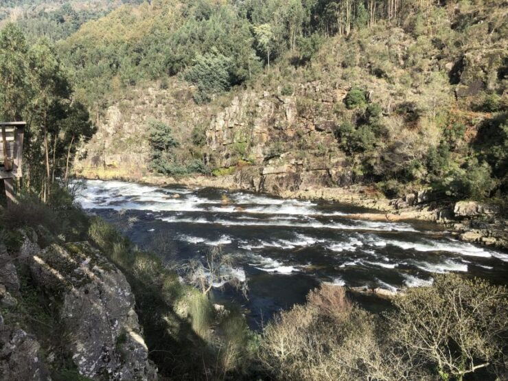 Paiva Walkways and Suspension Bridge - Highlights