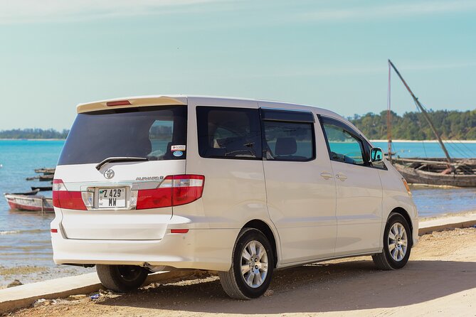 Paje and Jambiani Transfers From Stone Town - Maximum Travelers and Accessibility