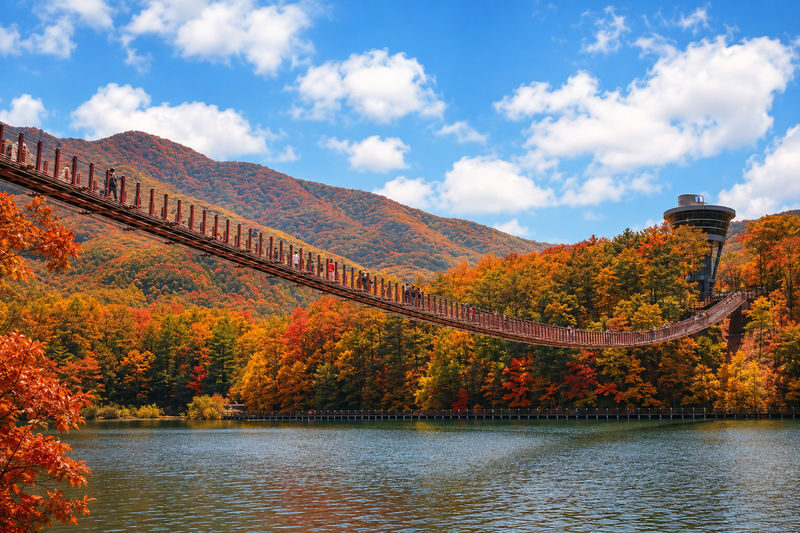Paju Day Tour: Sanmeoru Farm/ Majang Lake/ Paju Premium Outlet&More - Two ways to spend a day in Paju