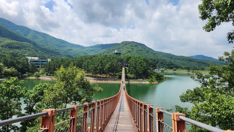 Paju Day Tour: Sanmeoru Farm/ Majang Lake/ Paju Premium Outlet&More - Majang Lake’s bridge is the route’s big view