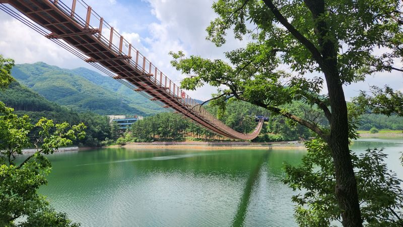 Paju Day Tour: Sanmeoru Farm/ Majang Lake/ Paju Premium Outlet&More - Sanmeoru Farm, donuts and outlet time make a different day