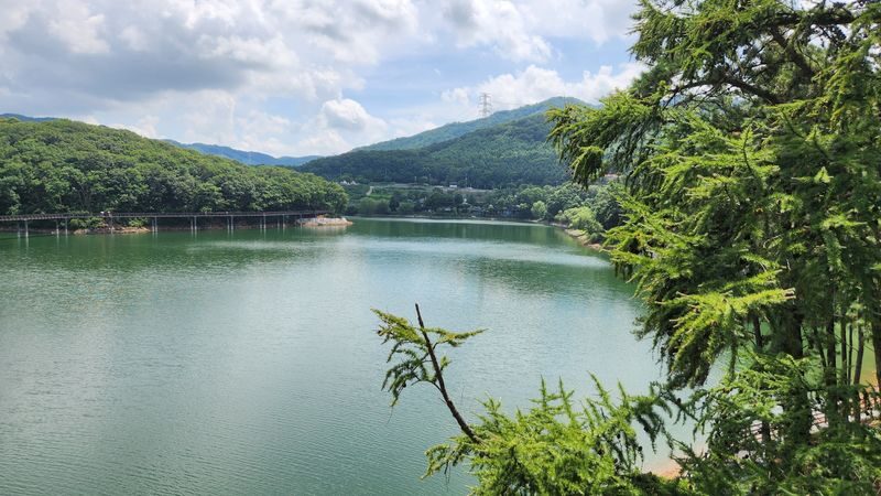 Paju Day Tour: Sanmeoru Farm/ Majang Lake/ Paju Premium Outlet&More - What the guide experience may feel like