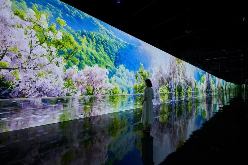 Paju Museum Hei & Unification Observatory & Byukchoji Gardens Tour - Heyri Art Village at your own pace
