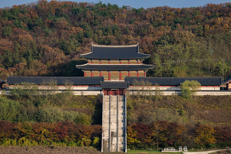 Paju Museum Hei & Unification Observatory & Byukchoji Gardens Tour - Price, inclusions and the real value
