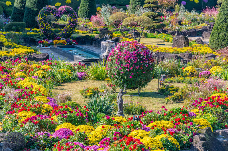 Paju Museum Hei & Unification Observatory & Byukchoji Gardens Tour - Who should book this Paju day trip?